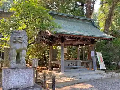 常磐神社の手水舎