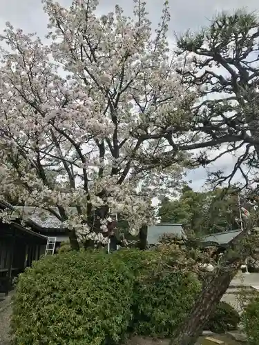 滋賀県護国神社(滋賀県)