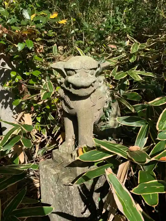 神社(名称不明)の狛犬
