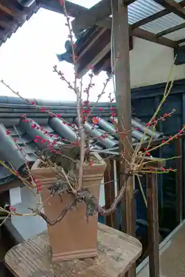 柳澤神社の芸術