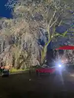 本佛寺別院 法華原の自然