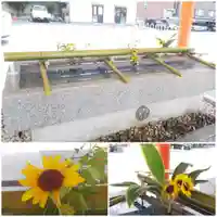 生田神社の手水舎