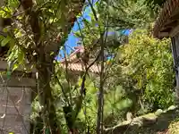 普天満宮の本殿・本堂