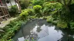 出雲大神宮の庭園