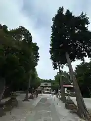 出雲伊波比神社(埼玉県)