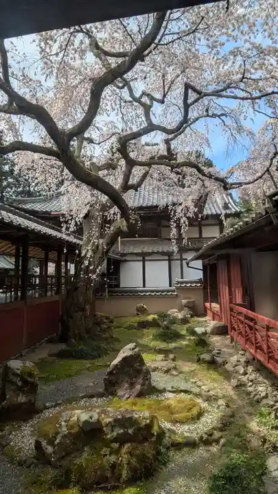 十輪寺(京都府)