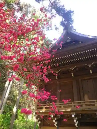 御霊神社の本殿・本堂
