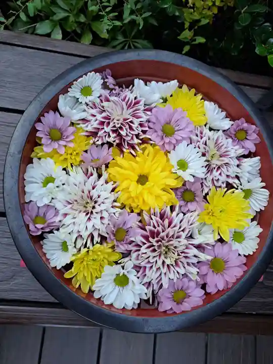 増上寺塔頭 三縁山 宝珠院の芸術