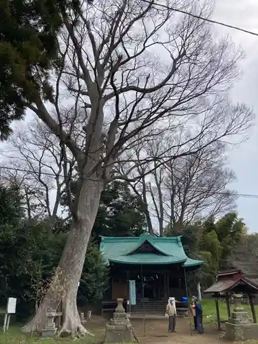 酒門神社(茨城県)