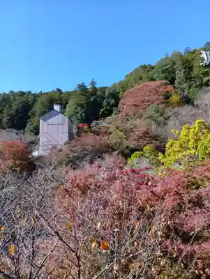 長谷寺(奈良県)