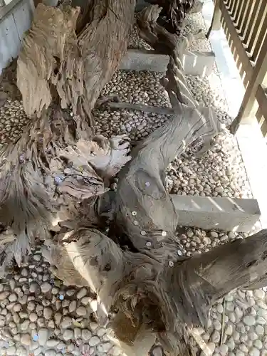 自凝島神社(兵庫県)