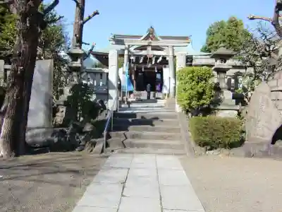 白鬚神社の鳥居
