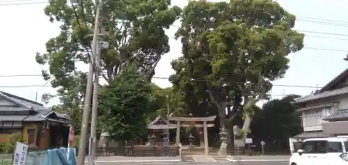 春日神社の景色