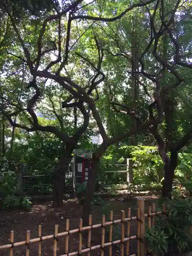 牛天神北野神社の庭園