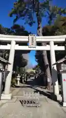 菊田神社の鳥居