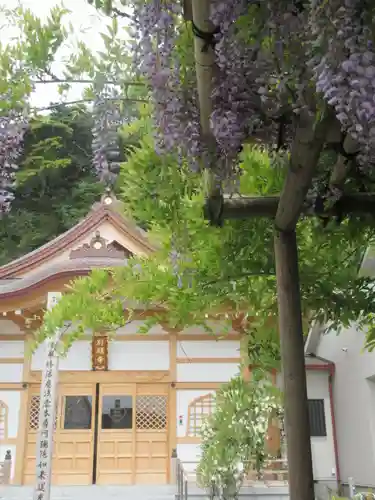 別願寺の景色