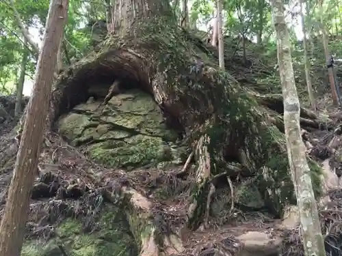 室生寺の自然