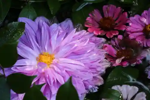 木幡山隠津島神社(二本松市)の手水舎
