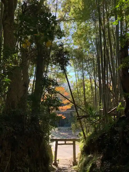 神社(名称不明)(千葉県)