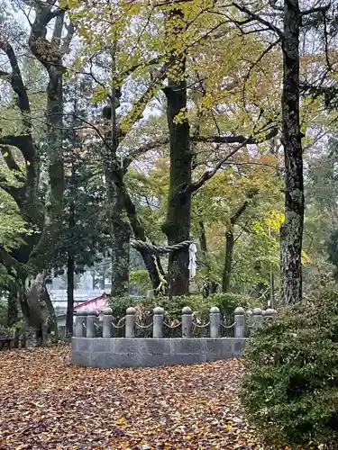 山中諏訪神社(山梨県)
