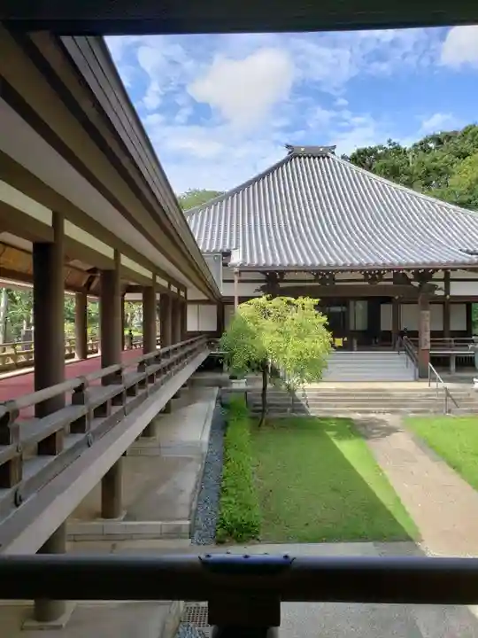 妙法寺(東京都)