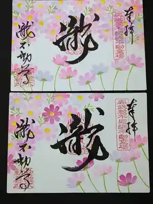 秋季限定、秋桜の見開きの御朱印。