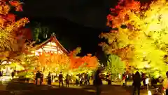 禅林寺（永観堂）の建物その他