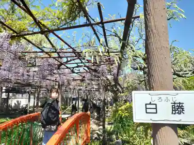 行興寺(静岡県)