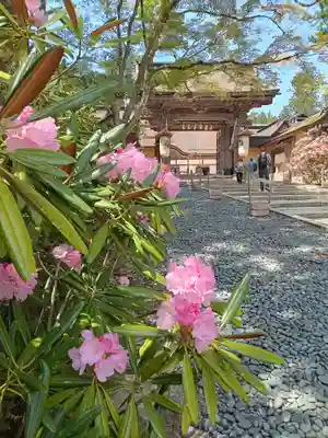 高野山金剛峯寺(和歌山県)