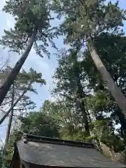 布多天神社の建物その他