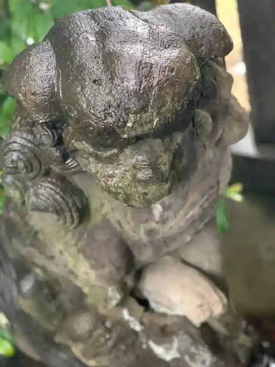 中島八幡神社の狛犬