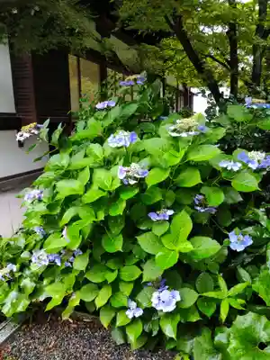 将軍塚青龍殿（青蓮院門跡）(京都府)