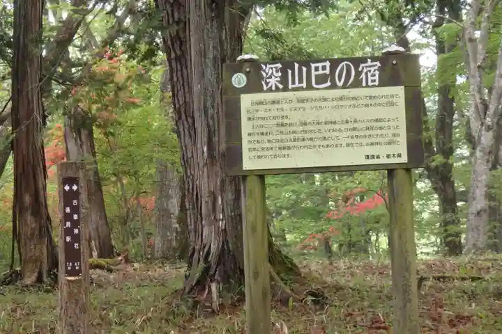深山巴の宿の自然