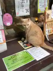 王子神社の動物