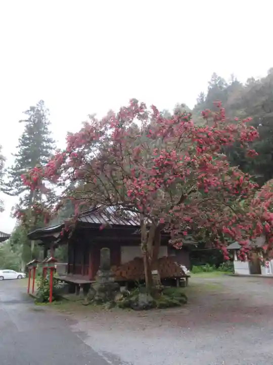 満願寺のその他建物