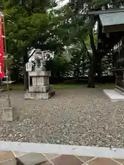 富良野神社の狛犬