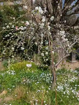 天徳寺(神奈川県)