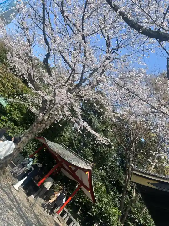 日枝神社の{uncategorized: "未分類", other: "その他", undefined: "問題あり", building: "その他建物", grave: "お墓", sacred_gate: "鳥居", guardian: "狛犬", statue: "像", buddha: "仏像", history: "歴史", nature: "自然", garden: "庭園", animal: "動物", pagoda: "塔", temizu: "手水舎", mountain_gate: "山門・神門", sanctuary: "本殿・本堂", subordinate: "末社・摂社", art: "芸術", scenery: "景色", jizo: "地蔵", ema: "絵馬", goshuin: "御朱印", omikuji: "おみくじ", items: "授与品その他", amulet: "お守り", goshuincho: "御朱印帳", eats: "食事", festival: "お祭り", votive_dance: "神楽", shichigosan: "七五三参", wedding: "結婚式", experience: "体験その他", initially: "初詣", around: "周辺", anti_infection: "感染症対策"}