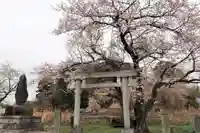 立鉾鹿島神社の鳥居