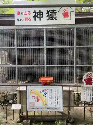 日吉大社(滋賀県)