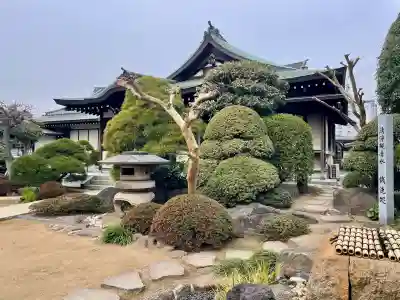 観音寺の{uncategorized: "未分類", other: "その他", undefined: "問題あり", building: "その他建物", grave: "お墓", sacred_gate: "鳥居", guardian: "狛犬", statue: "像", buddha: "仏像", history: "歴史", nature: "自然", garden: "庭園", animal: "動物", pagoda: "塔", temizu: "手水舎", mountain_gate: "山門・神門", sanctuary: "本殿・本堂", subordinate: "末社・摂社", art: "芸術", scenery: "景色", jizo: "地蔵", ema: "絵馬", goshuin: "御朱印", omikuji: "おみくじ", items: "授与品その他", amulet: "お守り", goshuincho: "御朱印帳", eats: "食事", festival: "お祭り", votive_dance: "神楽", shichigosan: "七五三参", wedding: "結婚式", experience: "体験その他", initially: "初詣", around: "周辺", anti_infection: "感染症対策"}