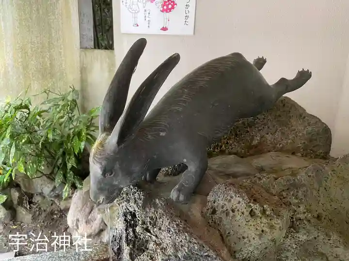 宇治神社の動物