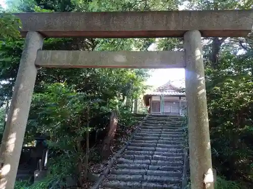 津島社（堀之内津島社）の鳥居