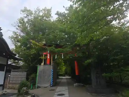 宇治上神社の鳥居