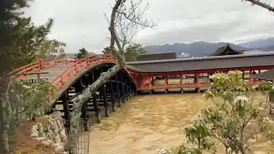 厳島神社(広島県)