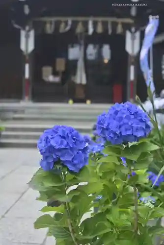 磐井神社の自然