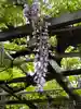 西方山極楽寺(岐阜県)