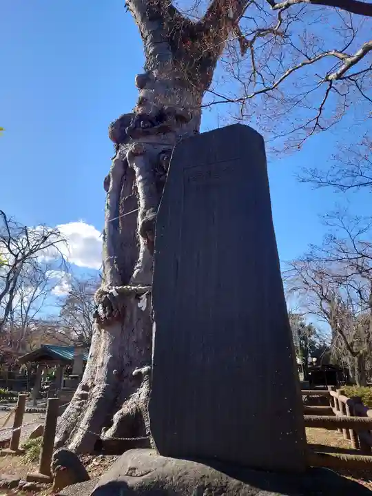 廣瀬神社(埼玉県)