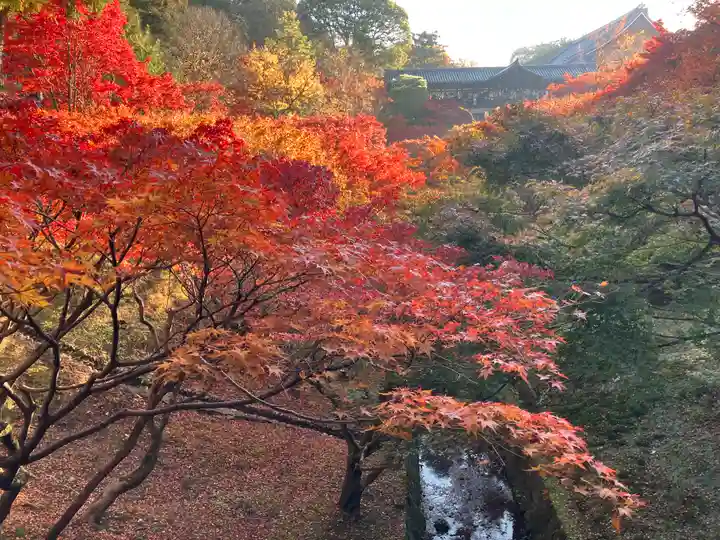 東福禅寺(東福寺)(京都府)
