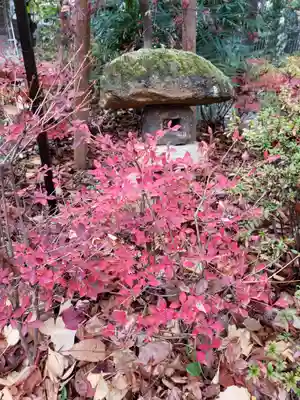 熊野神社(東京都)